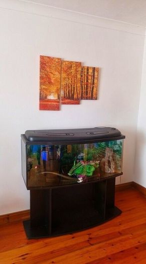 Fish tank