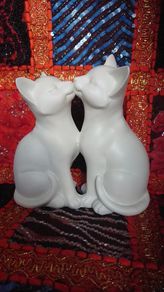 Collectable cats
