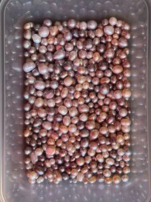 Undrilled Pearls Mixed Colours