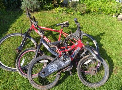 Free Bikes