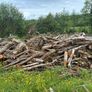 Fire wood for sale Image 2