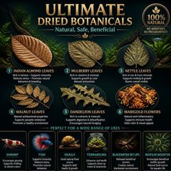 Ultimate Dried Leaves for Shrimp & Grazers