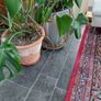 Antique Iranian Handmade Woollen Rug Image 9