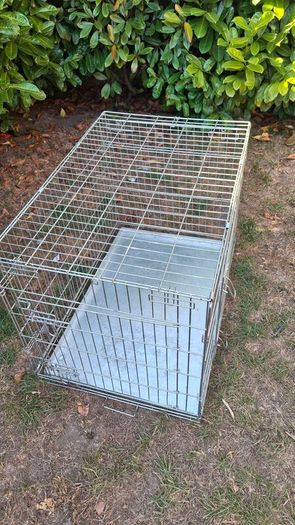 dog crate