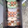 fresh free range eggs Image 3