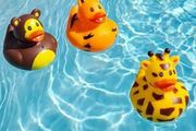 3pcs Super Cute Ducks - nice gift set