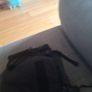 k9 dog carrier bag Image 3