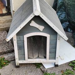 Dog House