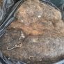 Job lot of vintage horsehair and natural upholstery stuffing weighing approximately 35KG Image 7