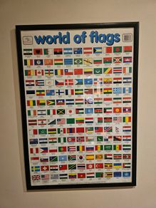 World of Flags Framed Print