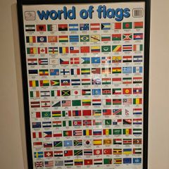 World of Flags Framed Print