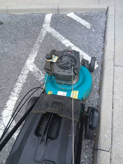 Petrol Lawnmower
