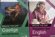 TY Bridge the gap, English and or Gaeilge