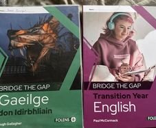 TY Bridge the gap, English and or Gaeilge