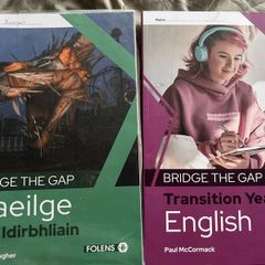 TY Bridge the gap, English and or Gaeilge
