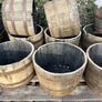 Oak barrel planters Image 2