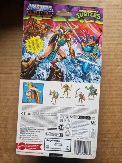 Turtles of Grayskull Teela Brand new sealed Bargain