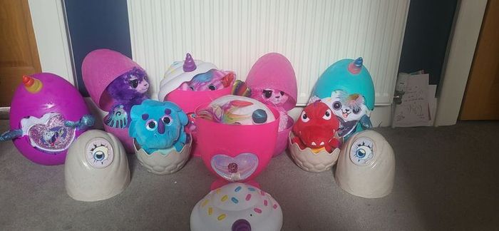 Hatchimals and Rainbocorns and dinosaurs