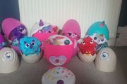 Hatchimals and Rainbocorns and dinosaurs