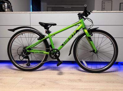 Giant ARX Junior Bike 24 inch (Like New)