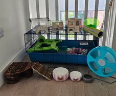 Hamster cage