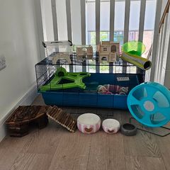 Hamster cage