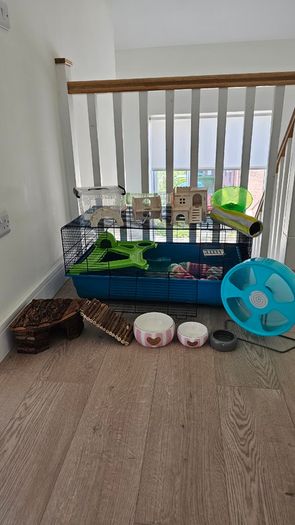 Hamster cage