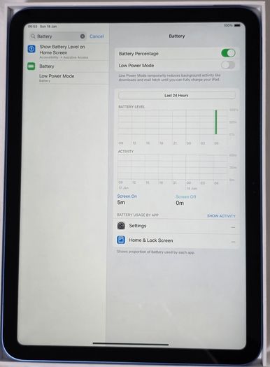 iPad 10th Gen 256GB WiFi Blue MINT 1st Battery Cycle