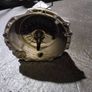 Jaguar auto gearbox 2.2 Image 3