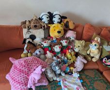 Bag of teddies