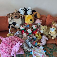 Bag of teddies