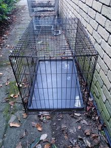 dog cage