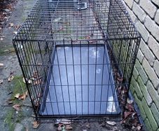 dog cage