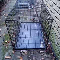 dog cage