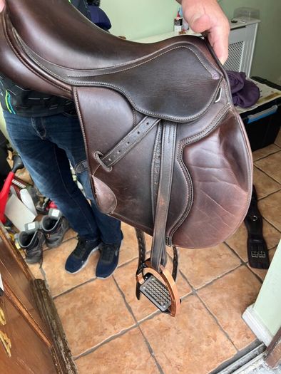 Horse saddle cavaletti collection, girt, stirrups
