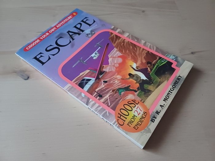 Choose Your Own Adventure by R.A. Montgomery (Illustrated Fantasy Retro Game Books 2005 NEW)