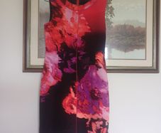 Designer Vibrant Sleeveless Dress- Clothes Worn by Victoria Beckham