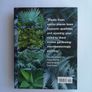 encyclopedia of exotic plants for temperate climates by Will Giles Image 2