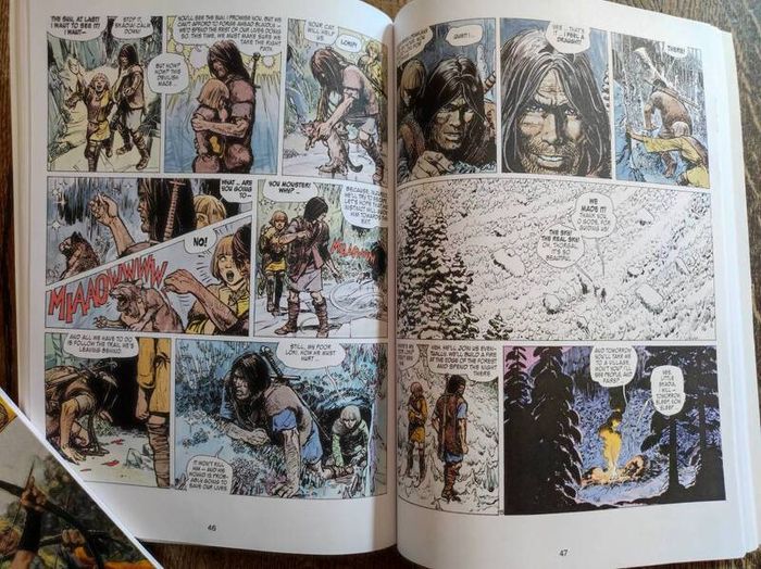 Thorgal Vol. 0: The Betrayed Sorceress  by Jean Van Hamme, Age 12+