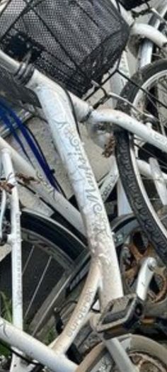 Ladies Bicycle