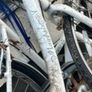 Ladies Bicycle Image 2