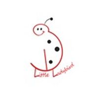 Little Ladybird Creche Jobs in Ireland