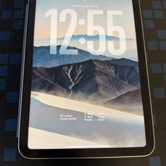 iPad Mini
