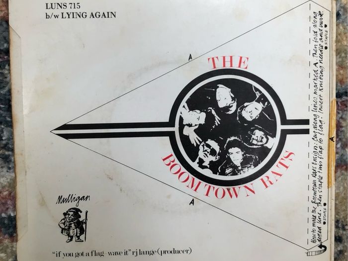 The Boomtown Rats - She's So Modern (1978) Irish 7"