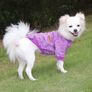 Gorgeous Dog Jumper Purple Brand New Size Small Image 3