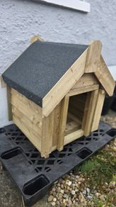 Dog Kennel