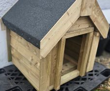 Dog Kennel
