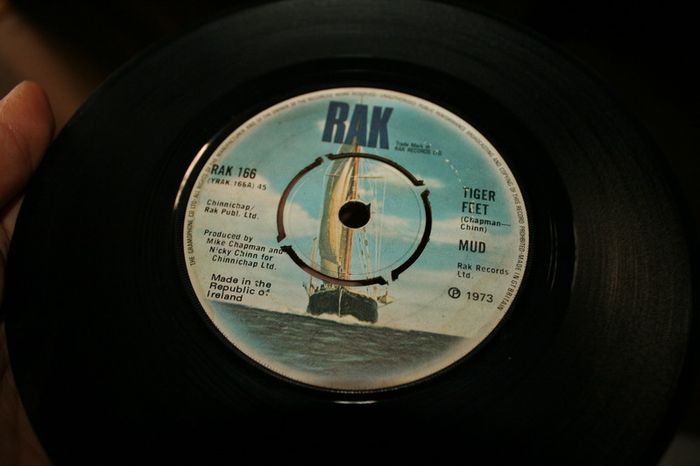 Single Vinyl's  85 pieces