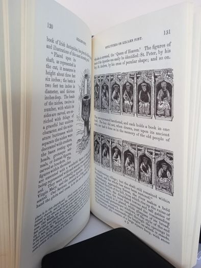 Beauties of the Boyne and the Blackwater by William Wilde (HQ865)