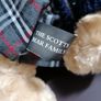 Teddy Bear Image 4